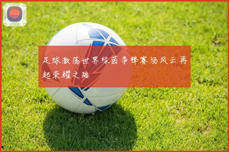 足球激荡世界绿茵争锋赛场风云再起荣耀之路