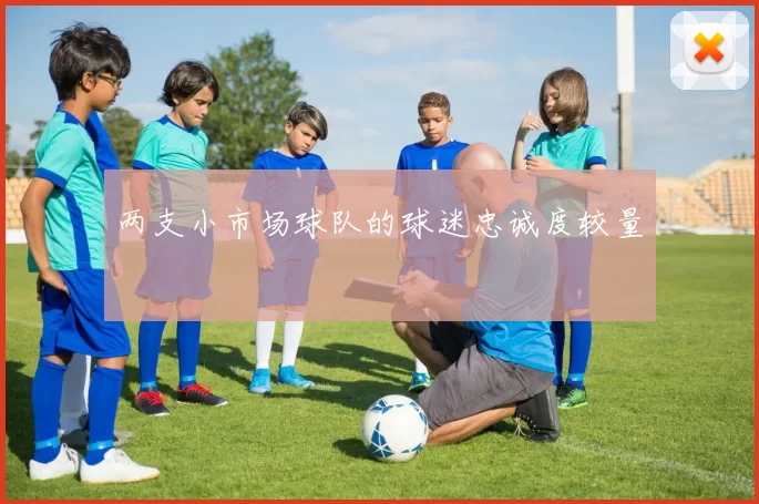 两支小市场球队的球迷忠诚度较量